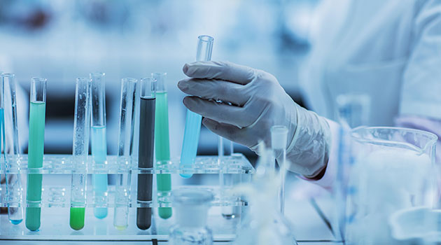 quienes-somos-2008 quienes-somos-2008