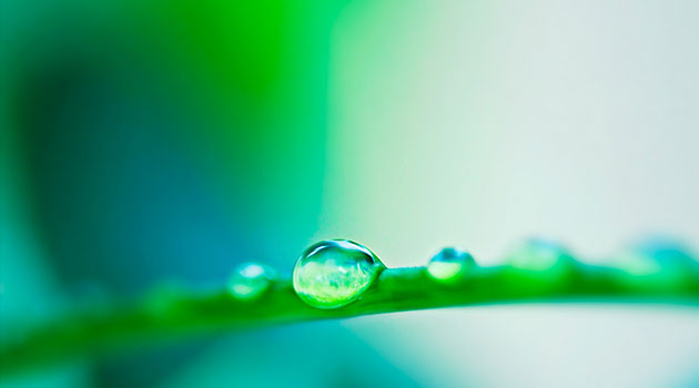 quienes-somos-2011 quienes-somos-2011