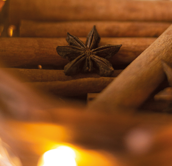 fragancia-oriental-especiada-marketing-olfativo