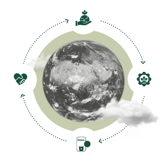 portada-nitida-green portada-nitida-green