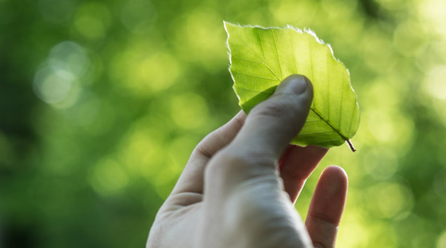 quienes-somos-nitida-certificados quienes-somos-nitida-certificados