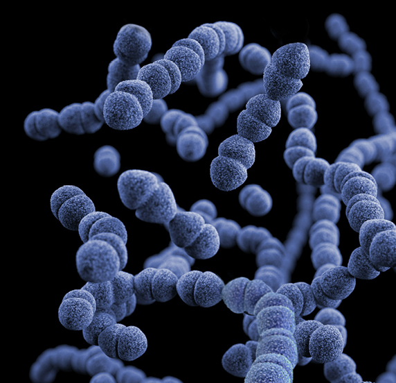 bacterias-higiene-cocinas-profesionales